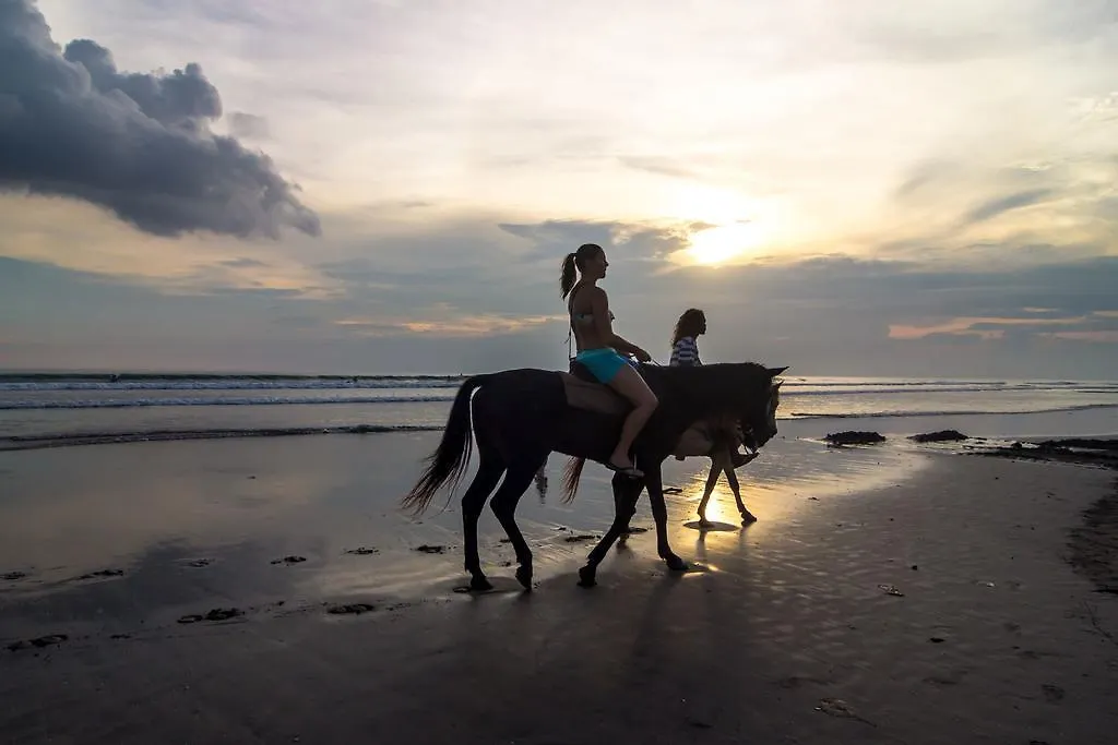 Guest house Puri Wisata Balinese Style Hotel Seminyak